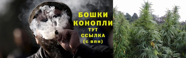 мяу мяу мука Белокуриха